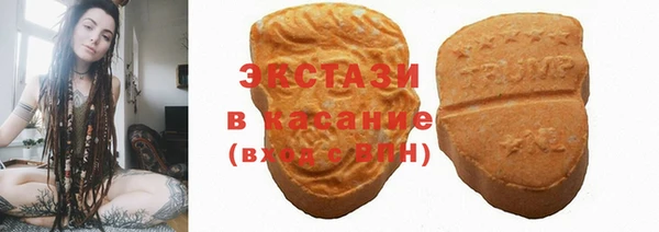 спайс Каменка
