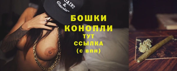 спайс Каменка