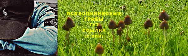 мефедрон мука Каменск-Шахтинский