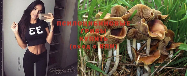 2c-b Карталы