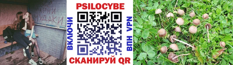 Купить  Николаевск-на-Амуре  Галлюциногенные грибы мухоморы 